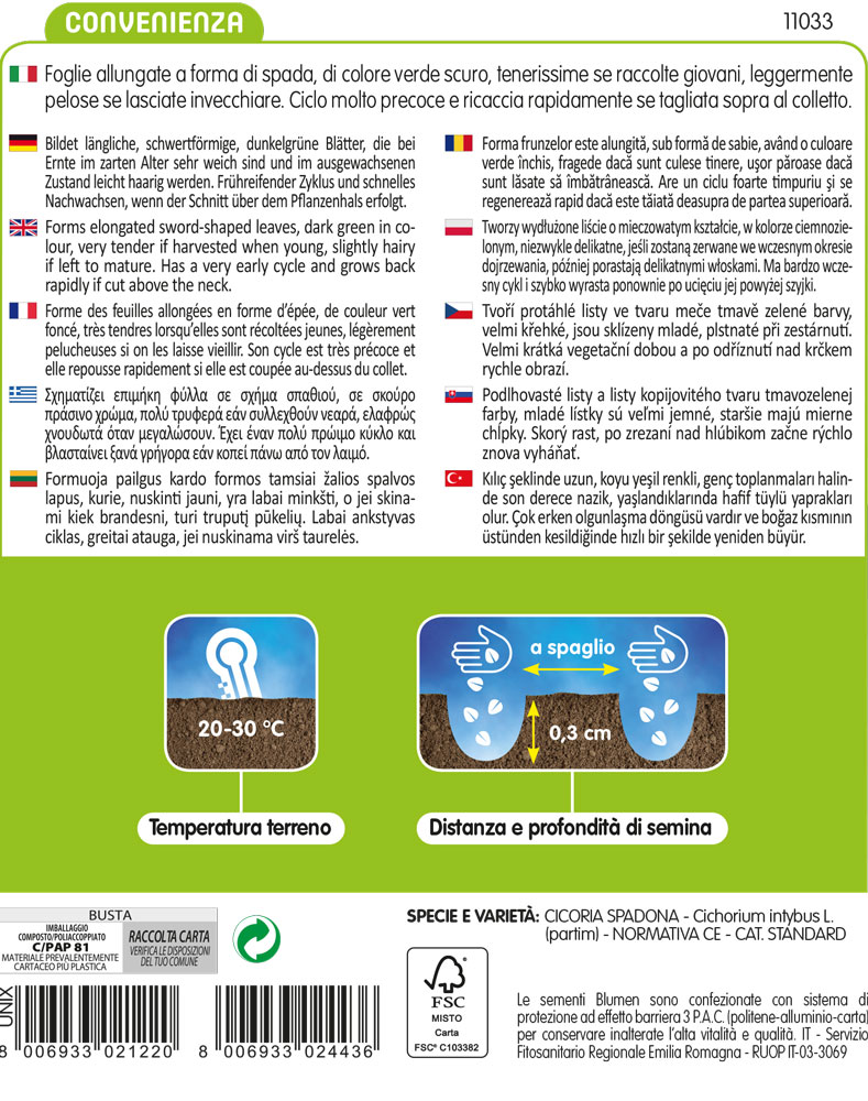 Cicoria Spadona Da Taglio - immagine 2