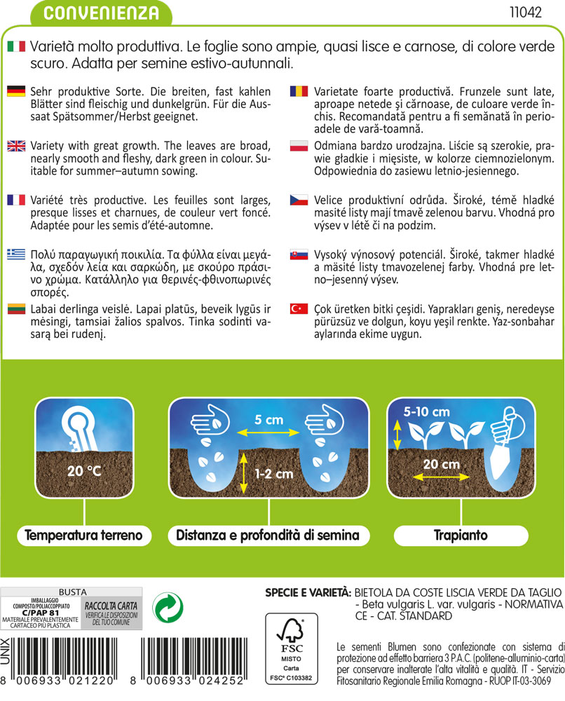 Bieta Verde Liscia Da Taglio O Erbette - immagine 2