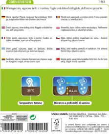 Rucola Selvatica - immagine 2