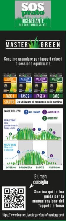 Prato Forte Rigenerante Per Zone Ombreggiate - immagine 3