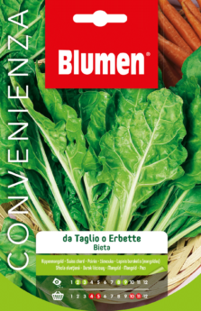 Bieta Verde Liscia Da Taglio O Erbette