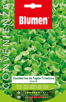 Cicoria Zuccherina Da Taglio Triestina