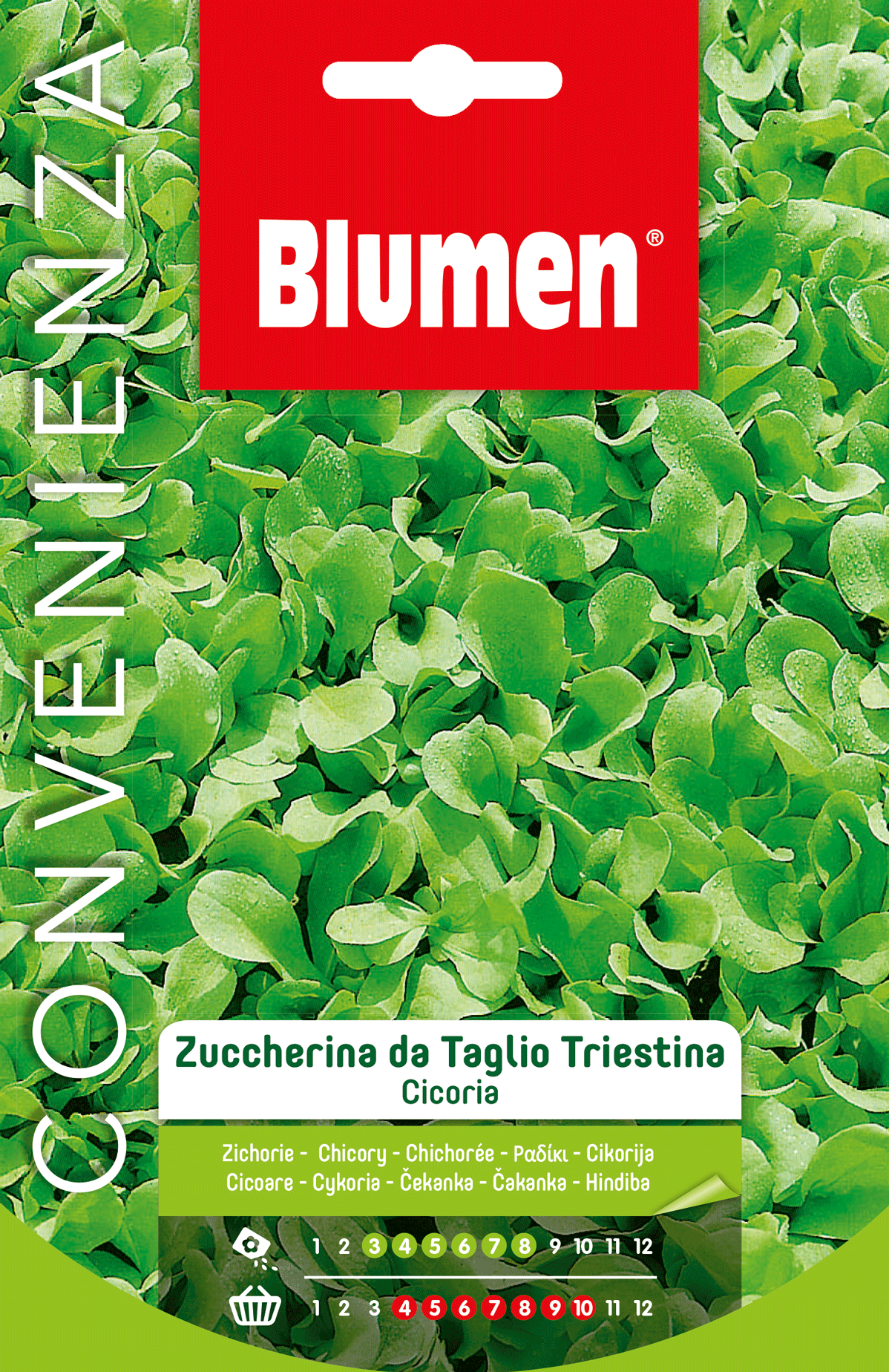 Cicoria Zuccherina Da Taglio Triestina