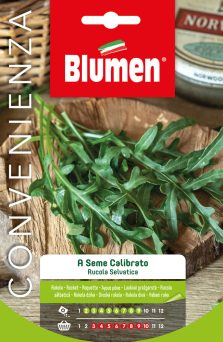Rucola Selvatica