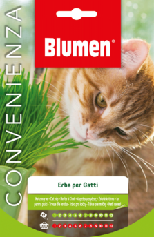 Erba Per Gatti