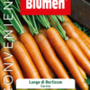 Carota Lunga Di Berlicum