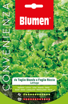 Lattuga Bionda Riccia Da Taglio