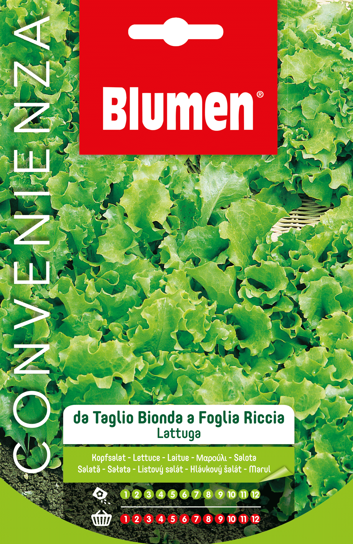 Lattuga Bionda Riccia Da Taglio