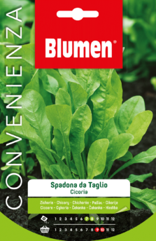 Cicoria Spadona Da Taglio
