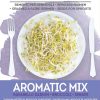 Aromatic Mix Ravanello Daikon, Broccoli, Senape