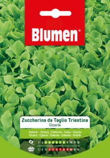 Cicoria Zuccherina Da Taglio Triestina