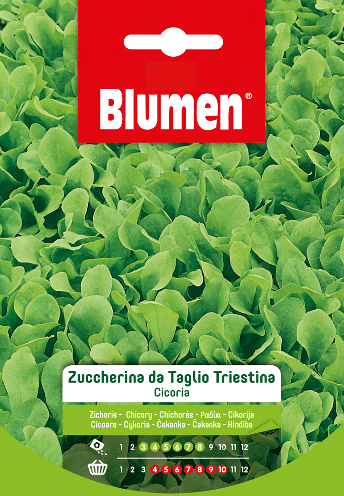 Cicoria Zuccherina Da Taglio Triestina