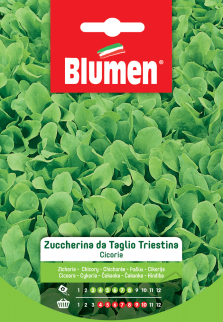 Orto sul Balcone – Bustine - immagine 3