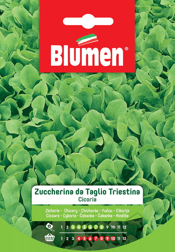 Orto sul Balcone – Bustine - immagine 3