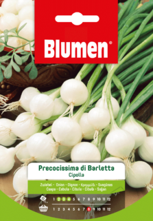 Cipolla Precocissima Di Barletta