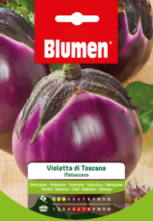 Melanzana Violetta Di Toscana