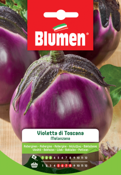 melanzana violetta di toscana