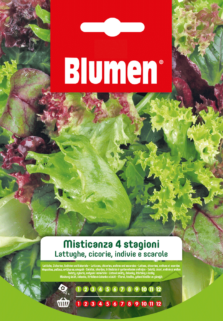 Misticanza Quattro Stagioni