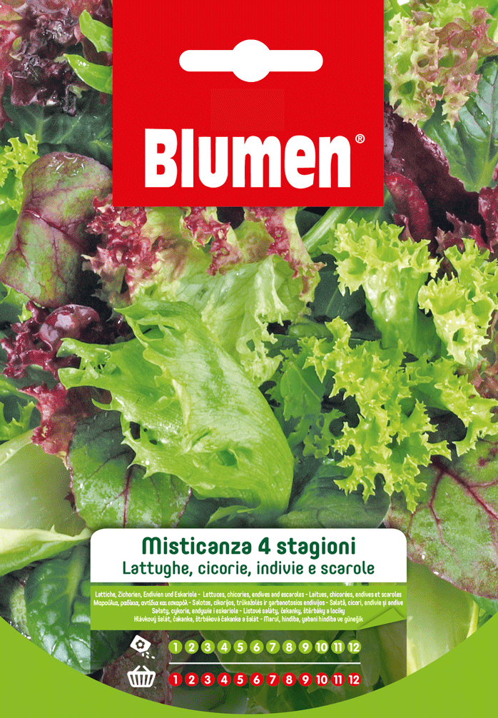 Misticanza Quattro Stagioni