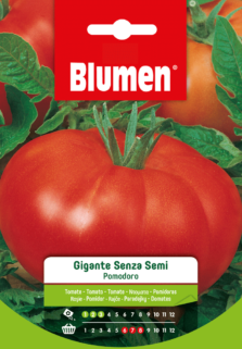 Pomodoro Gigante Senza Semi