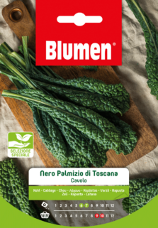 Cavolo Nero Palmizio Di Toscana