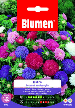 Astro Bouquet In Miscuglio