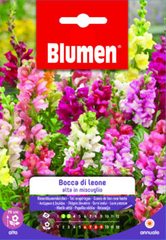 Bocca Di Leone Alta In Miscuglio