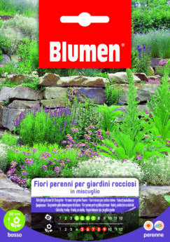 Fiori Perenni Per Giardini Rocciosi
