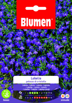 Lobelia Palazzo Di Cristallo