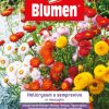Helicrysum/Semprevivo In Miscuglio