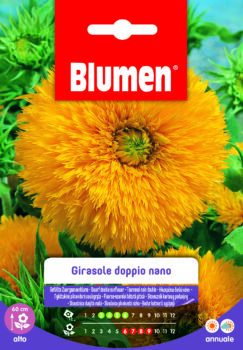 Girasole Doppio Nano Giallo