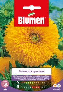 Girasole Doppio Nano Giallo