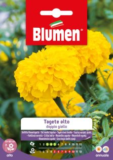 Tagete Alto Doppio Giallo