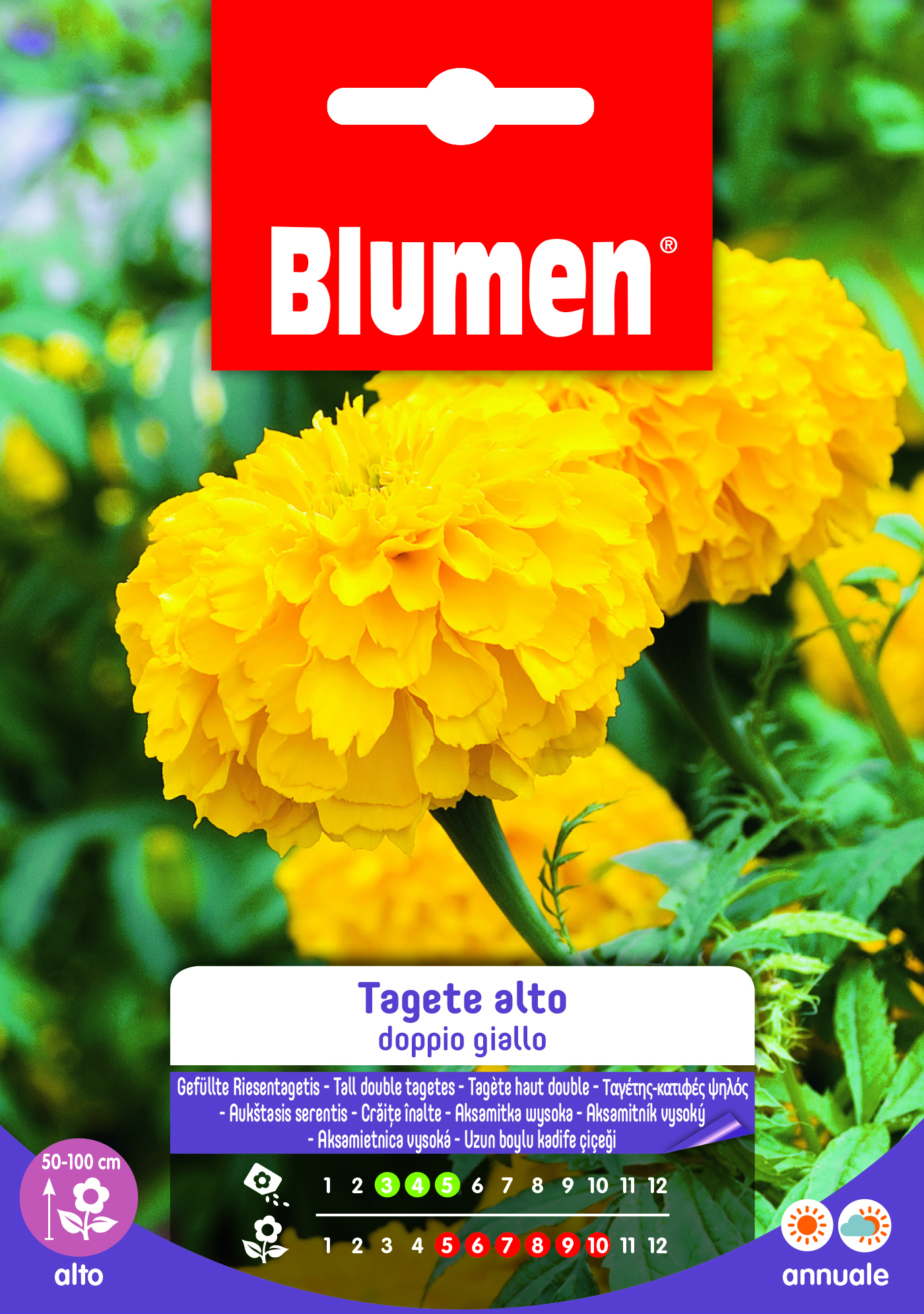 Tagete Alto Doppio Giallo