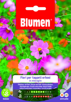 Fiori Per Tappeti Erbosi In Miscuglio