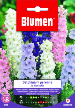 Delphinium Perenne In Miscuglio