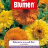 Calendula A Grandi Fiori In Miscuglio