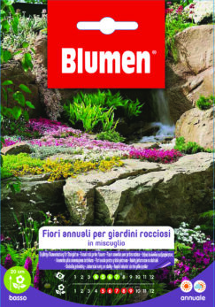 Fiori Annuali Per Giardini Rocciosi