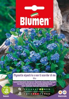 Myosotis Alpestris Non Ti Scordar Di Me