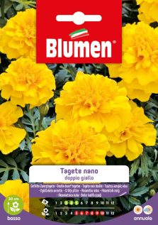 Tagete Nano Doppio Giallo