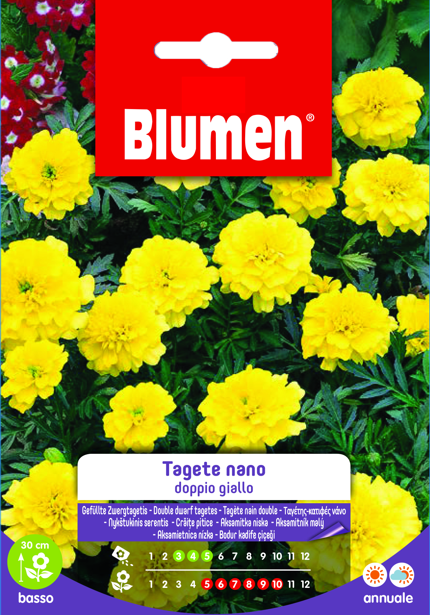 Tagete Nano Doppio Giallo