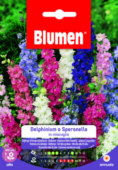 Delphinium/Speronella In Miscuglio
