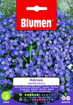 Aubrezia Cascata Azzurra