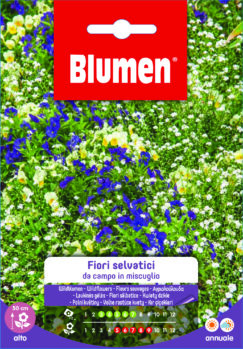 Fiori Selvatici Da Campo In Miscuglio
