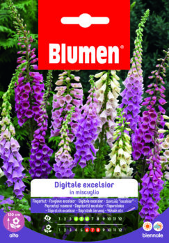 Digitale Excelsior In Miscuglio