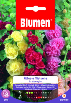 Altea/Malvone In Miscuglio