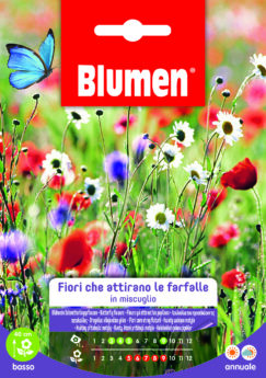 Fiori Che Attirano Le Farfalle In Miscuglio