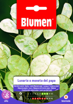 Lunaria/Moneta Del Papa