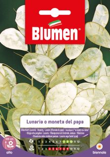 Lunaria/Moneta Del Papa