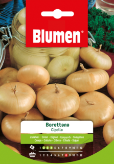 Cipolla Borrettana